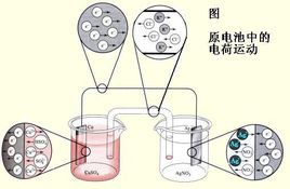 91茄子成人网站入口厂家