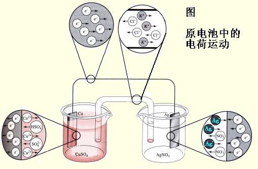电化学黄色茄子视频