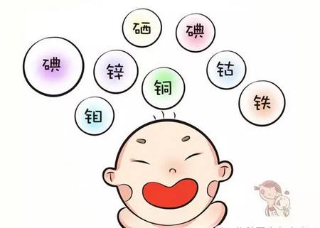 91茄子成人网站入口:科学饮食助于治疗缺铁性贫血