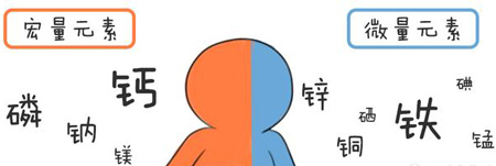 全自动黄色茄子视频帮助身体维持健康