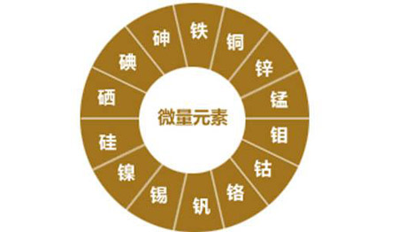 医用91茄子成人网站入口对视力的重要性