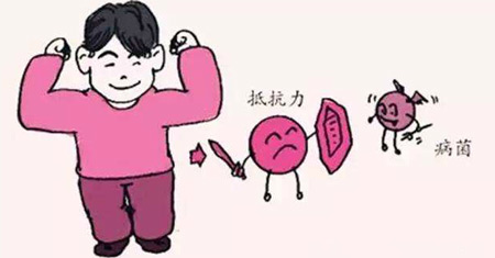 解析全自动91茄子成人网站入口发展的重要意义