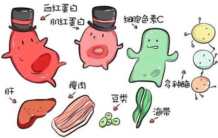 91茄子成人网站入口厂家分析元素之间的协同作用
