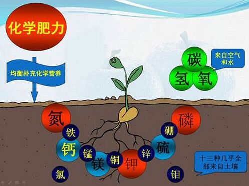 医用91茄子成人网站入口对作物缺素病的识别