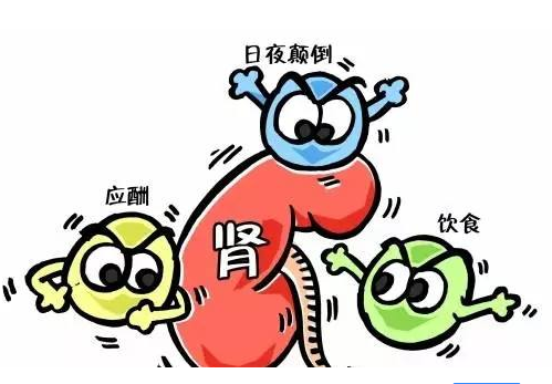 全自动91茄子成人网站入口厂家谈肾脏病与微量元素的关系