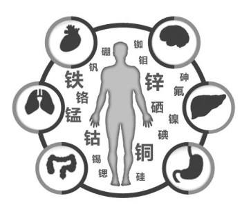 医用黄色茄子视频厂家谈微量元素的重要性 医用黄色茄子视频厂家谈微量元素的重要性