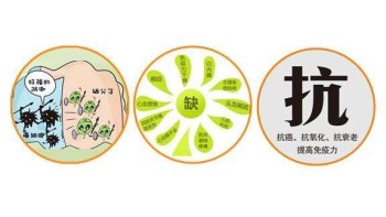 91茄子成人网站入口厂家分析哪些微量元素能防癌 91茄子成人网站入口厂家分析哪些微量元素能防癌