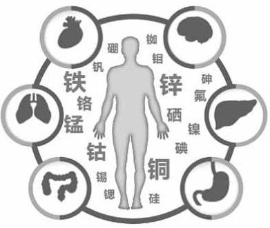 医用黄色茄子视频为茄子视频在线的健康提供了保障 医用黄色茄子视频为茄子视频在线的健康提供了保障