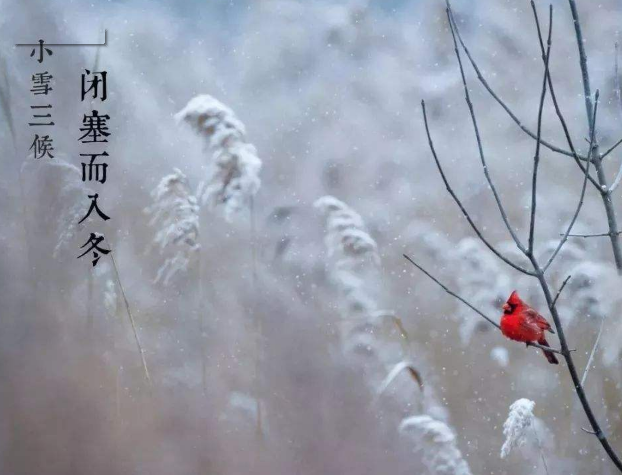 全自动微量分析仪厂家山东茄子视频在线提示您天冷了，照顾好自己！奥利给