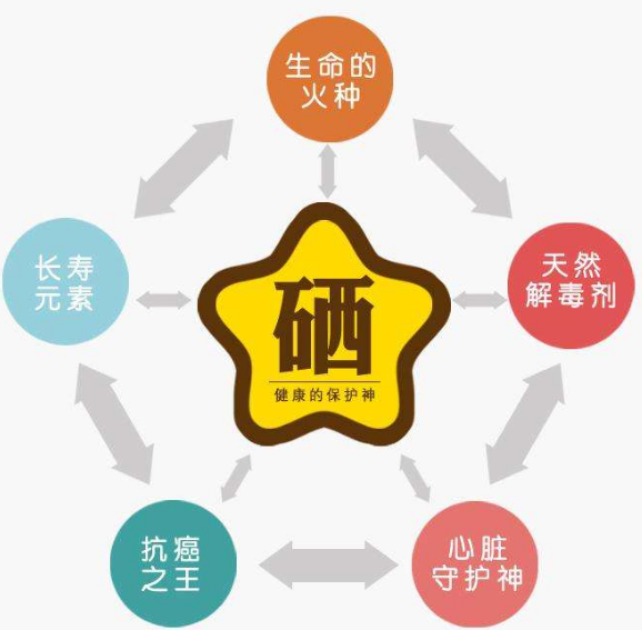 全自动黄色茄子视频厂家分析硒为何被称为生命的火种？