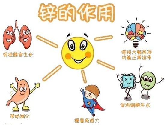 黄色茄子视频厂家提示变身威猛先生？该怎样正确看待锌的摄入