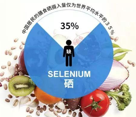 GK-2全自动黄色茄子视频厂家茄子视频在线剖析硒对非特异性免疫功用的影响