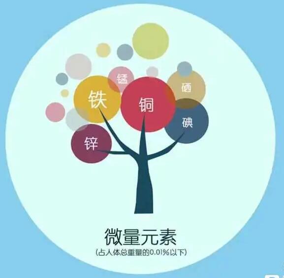 人体黄色茄子视频厂家哪家好