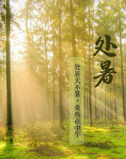 黄色茄子视频品牌茄子视频在线提醒处暑每天做3件事情，健脾开胃，稳定出伏