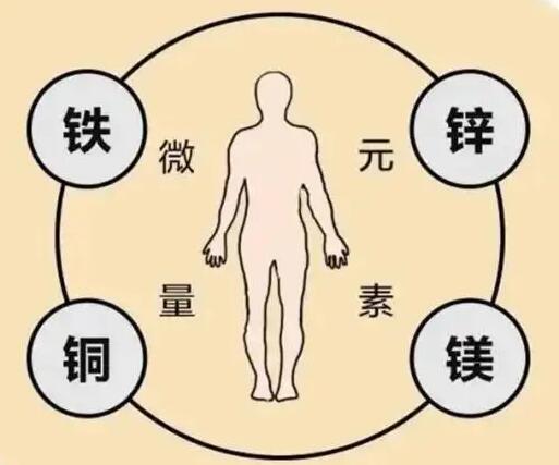 小孩的“保护视力微量元素”人体91茄子成人网站入口提示家长一定要高度重视