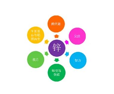 微量元素测定仪厂家提示关爱男士健康，适度补充锌元素也不能少！