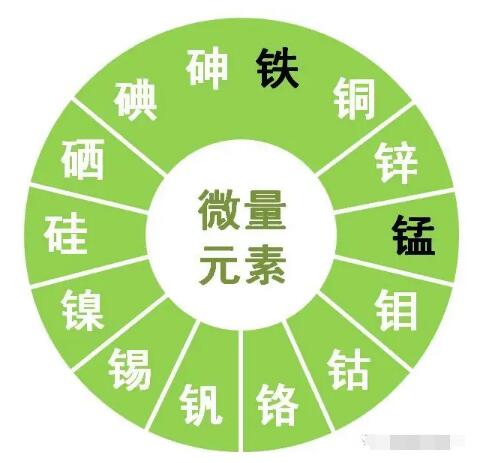 黄色茄子视频提示锌、硒、锰、钒等微量元素对男性生育有哪些作用？