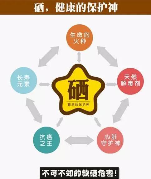 全自动91茄子成人网站入口品牌提示硒元素对脑血管病产生的影响