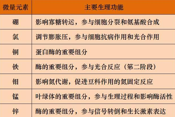 山东聊城全自动血铅检测仪一体机：微量元素的主要作用8.20